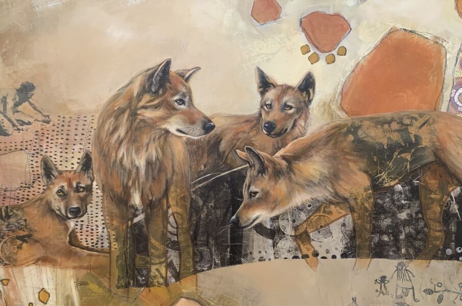 2024 People's Choice winner "The outsiders -Australian dingo" by Cynthia House.